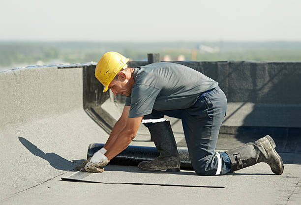 Best Insulation Maintenance and Repair in Moundville, AL